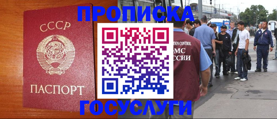 прописка гарантия в Мурманске